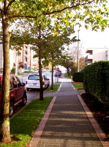 Carnarvon Street photo