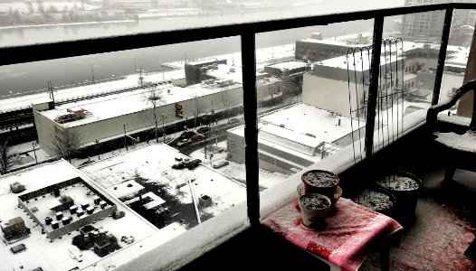 2016_12_18