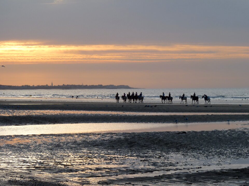 Sunset horses seaside