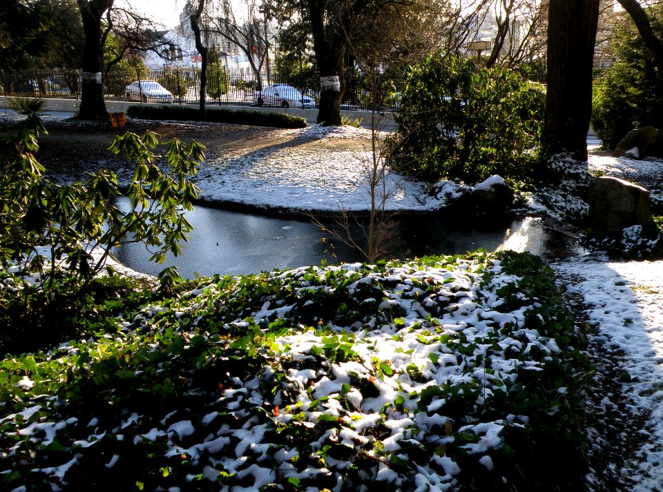 Frozen Water 1