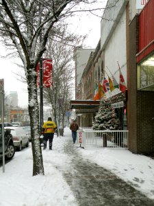 Morning Snow 1