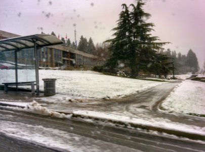 City Hall