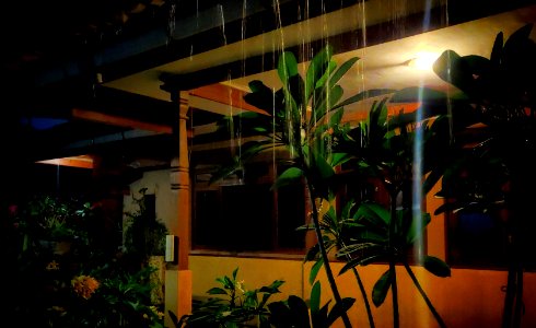 I Love a Rainy Night (in the Tropics) photo