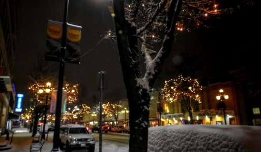 Snowy Evening