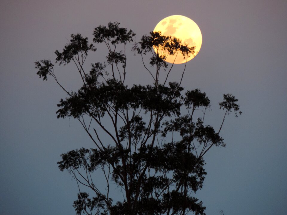 Australia supermoon lunar