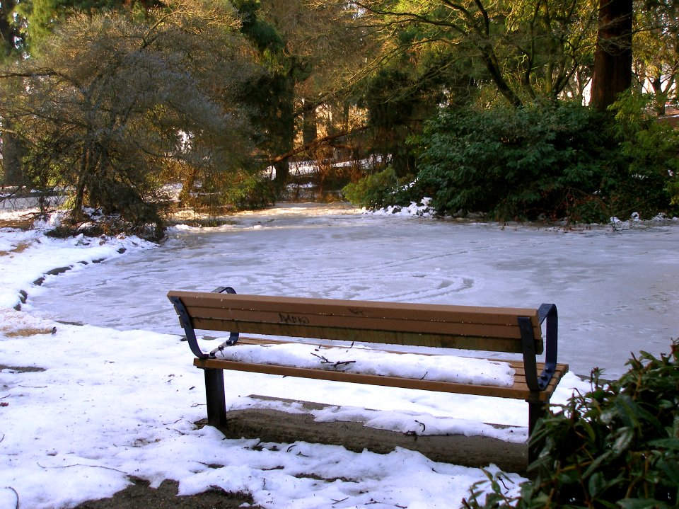 Frozen Out