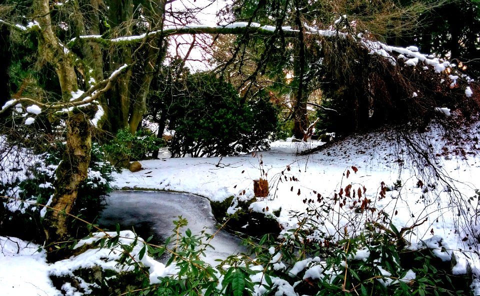 Frozen (Not Disney Trademarked)