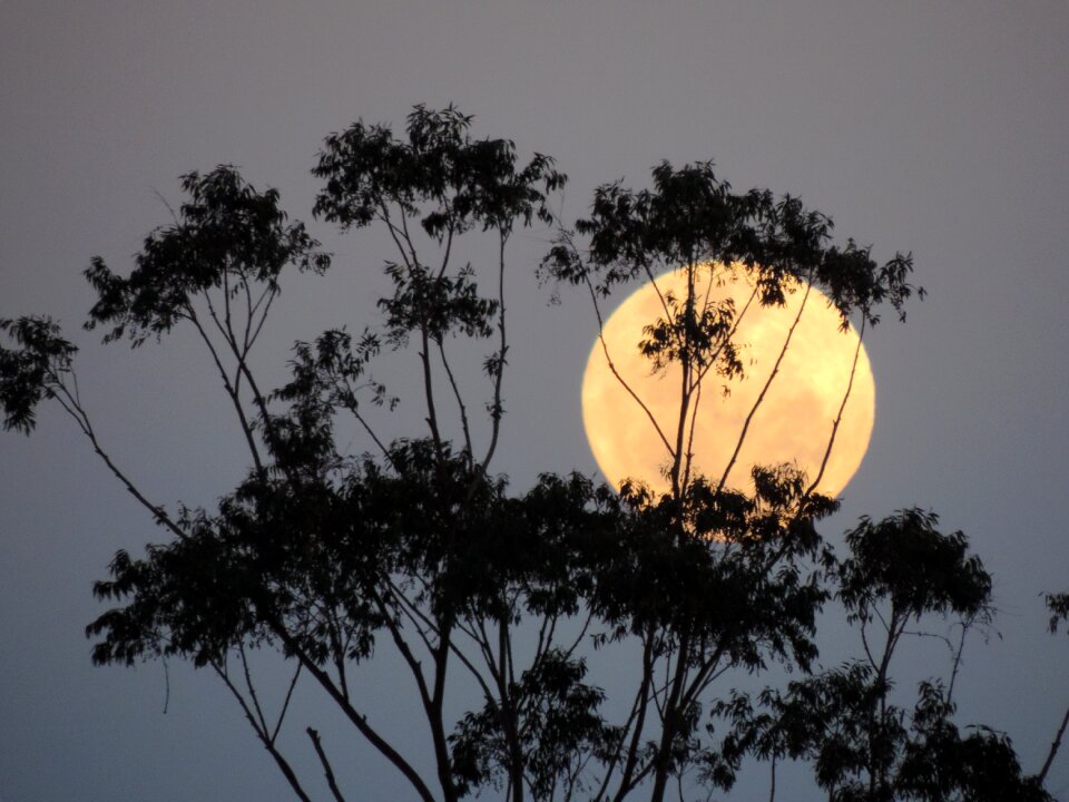 Australia supermoon lunar