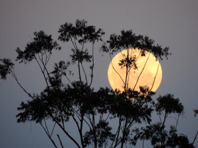 Australia supermoon lunar