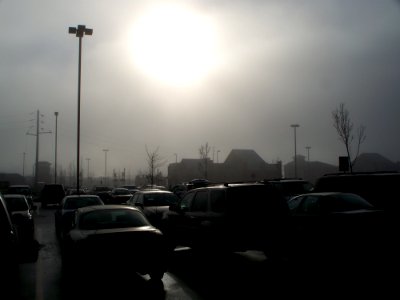 Morning Fog photo