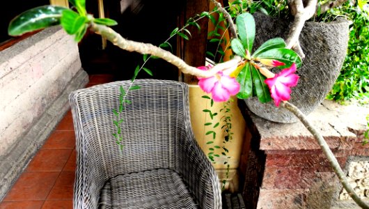 My Chair