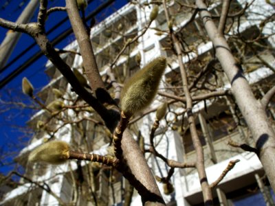 Spring's Coming