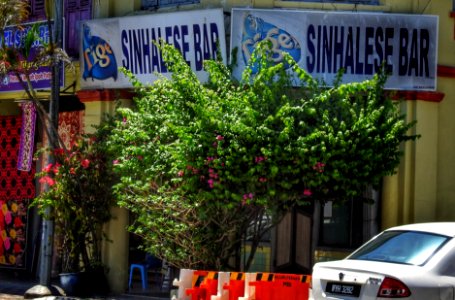 A Bar for Sinhalese