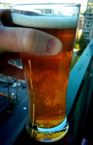 Spruce Tip Light Ale