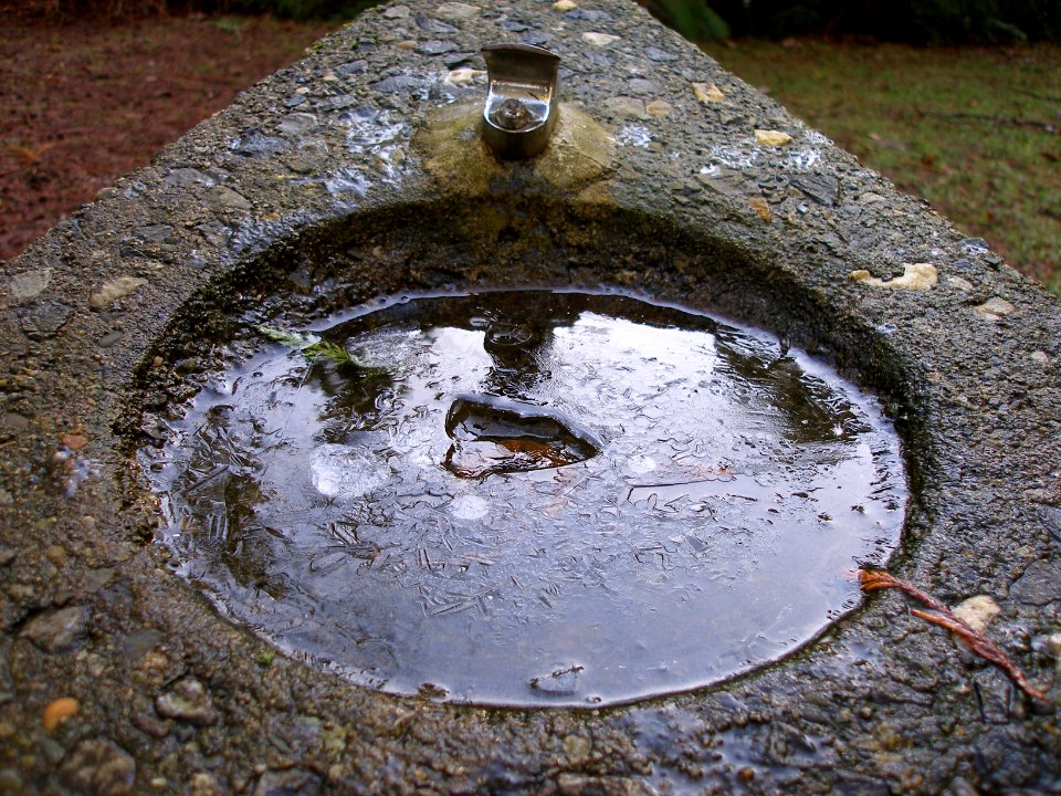 Frozen Drinking Fountain