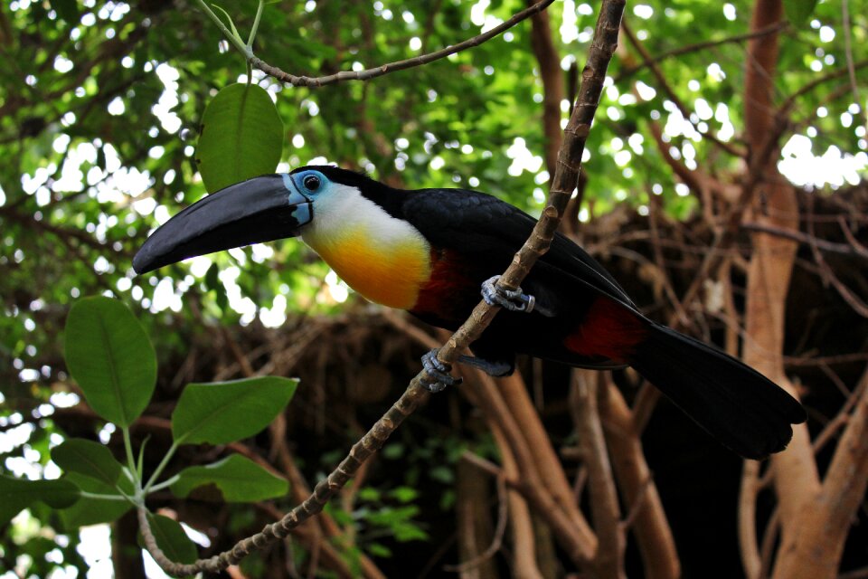 Zoo zoo duisburg color photo