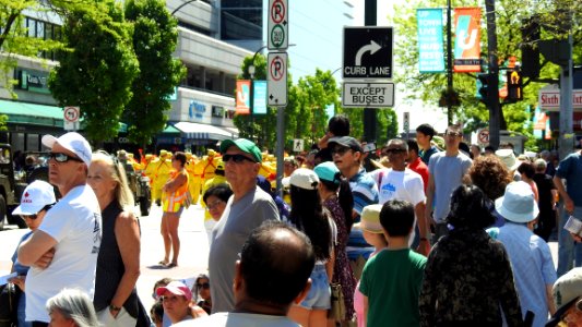 Crowds
