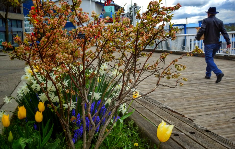Outside the Quay
