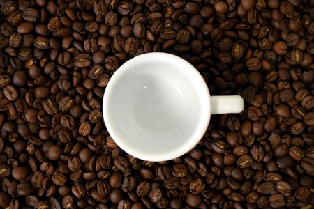 Coffee beans empty cup beans