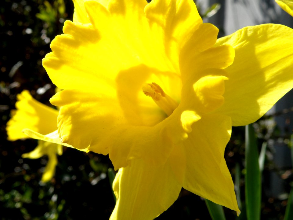 Spring!