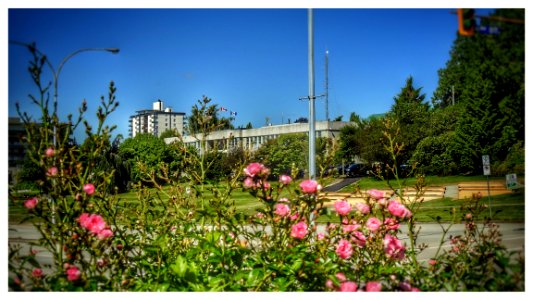 #NewWest City Hall