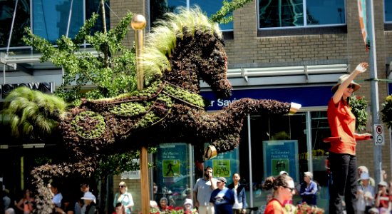 Burnaby's Growing Sculptures
