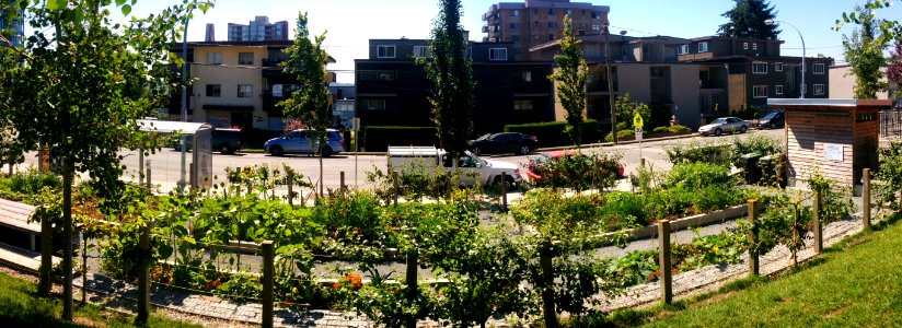 Former Hospital Site