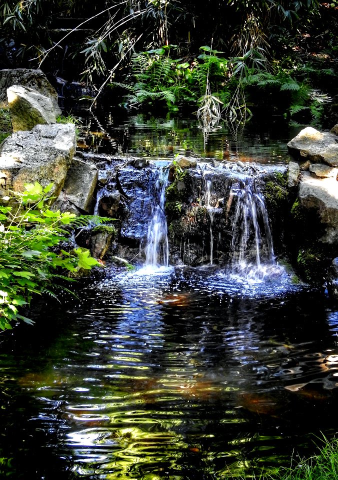 Tipperary Park