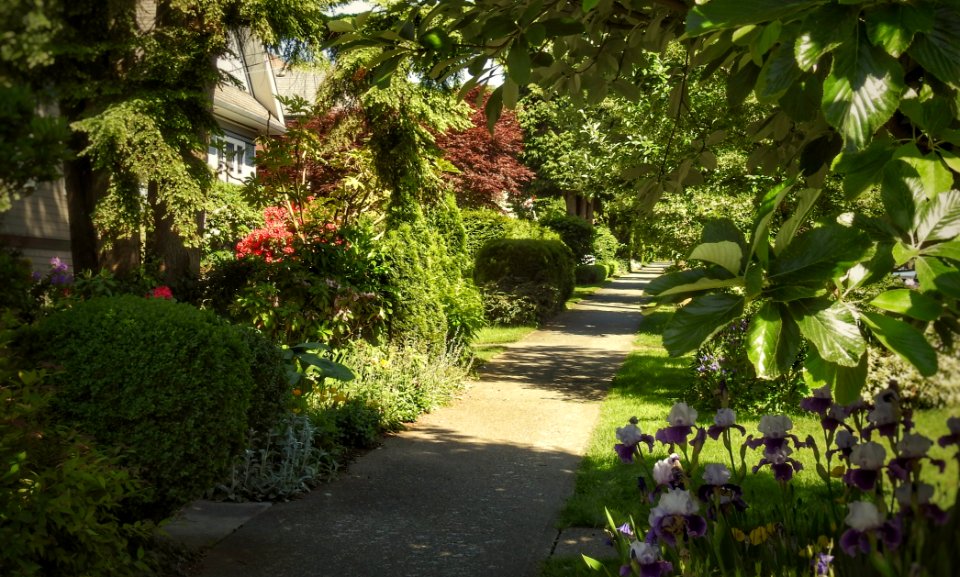 New West Sidewalk