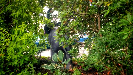 Uptown Lawn Elephant