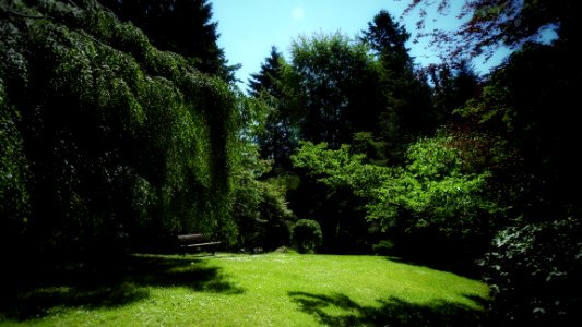 Open Bench