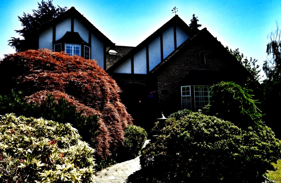 More of the Neighborhood