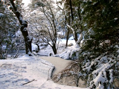 Frozen View