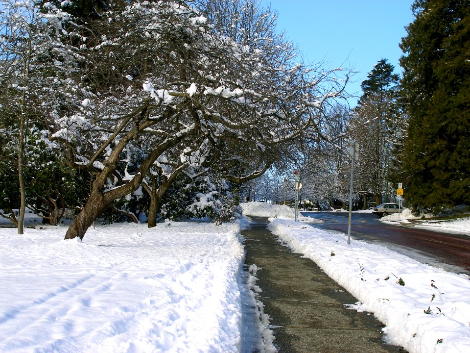 Fourth Thru the Park
