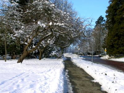 Fourth Thru the Park