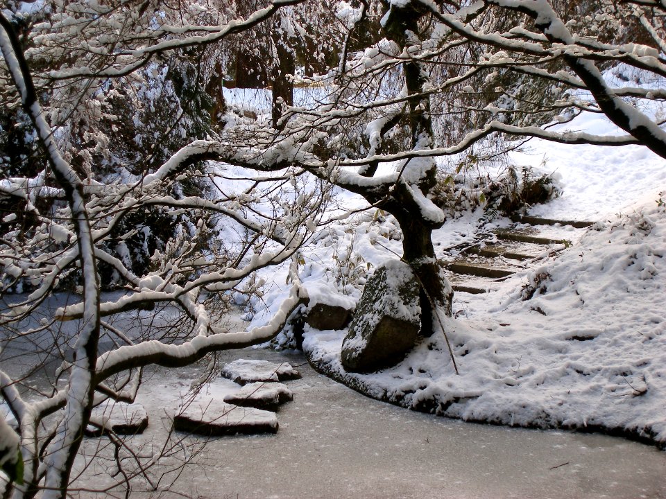 Another Frozen View