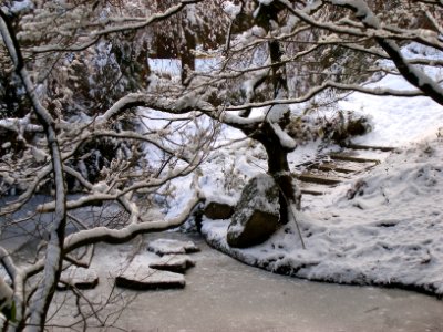 Another Frozen View