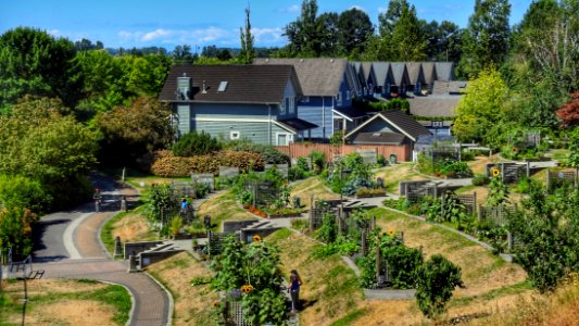 Community Garden Plots