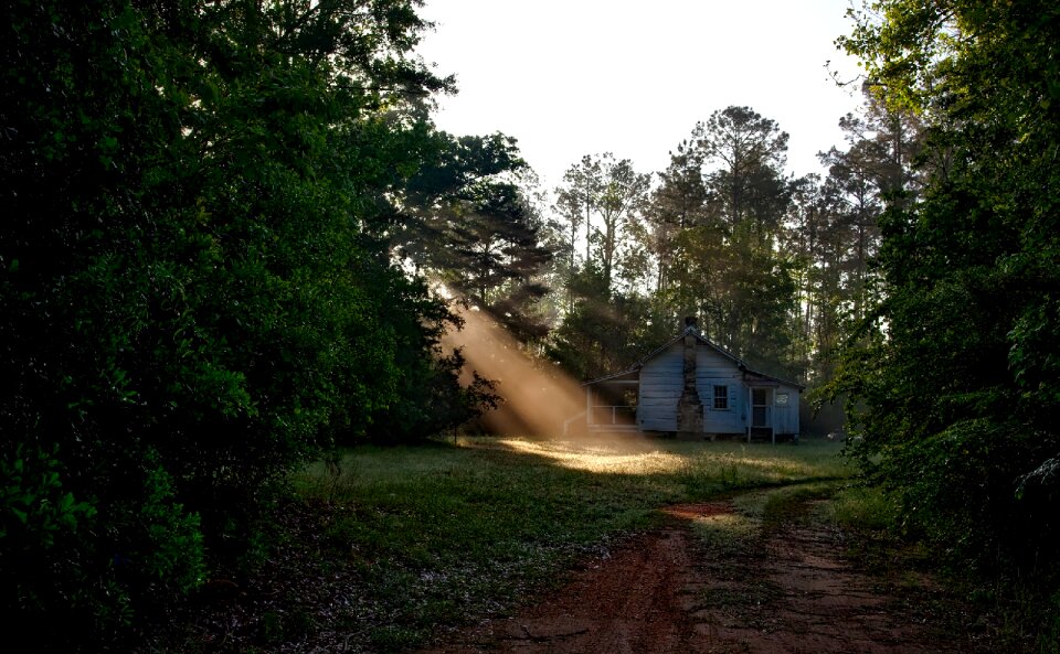 Daybreak morning first light