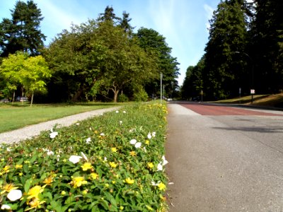 Fourth Street is Cut by Tipperary Park