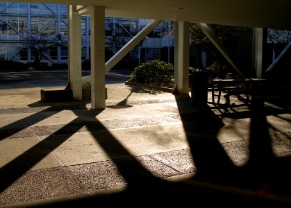 Campus in January #3/4