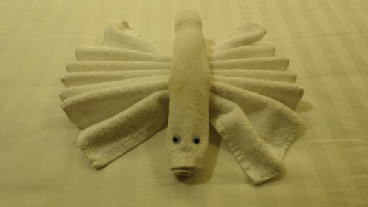 Tuesday, September 26, 2017