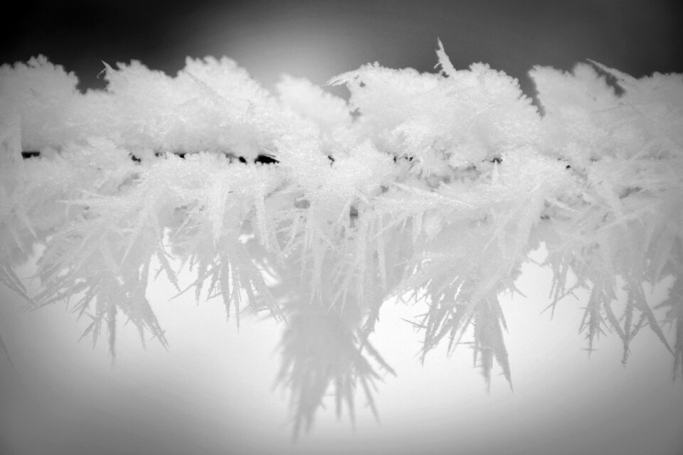 Hoarfrost frozen ice