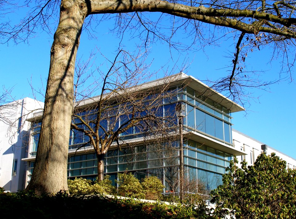 The Learning Commons