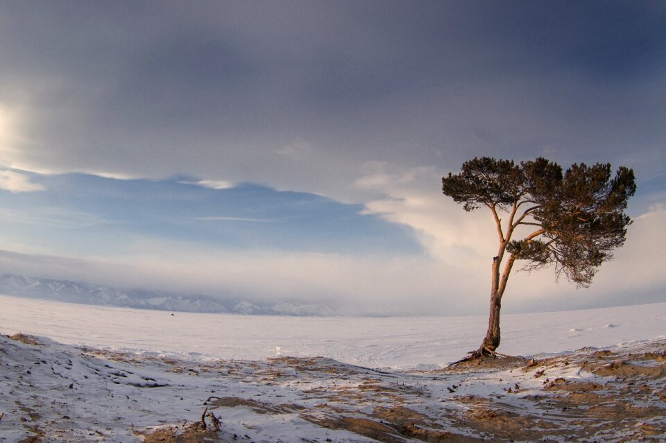 Cold snow landscape