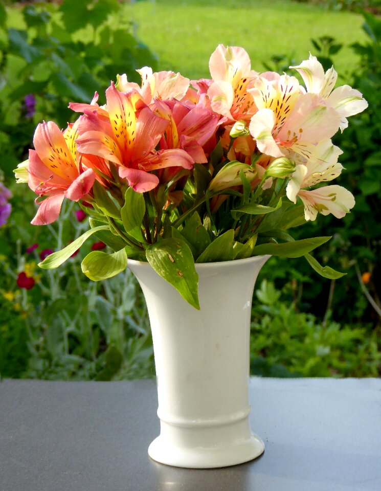 Schnittblume vase deco