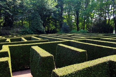 Hedge structure green