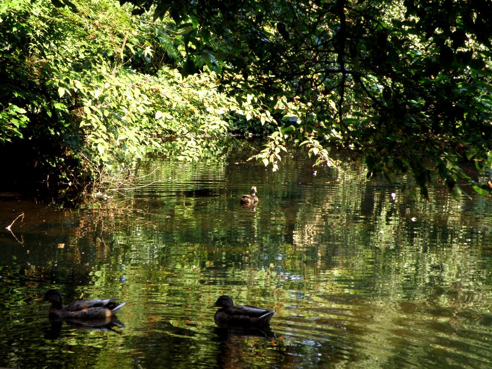 2009_08_19