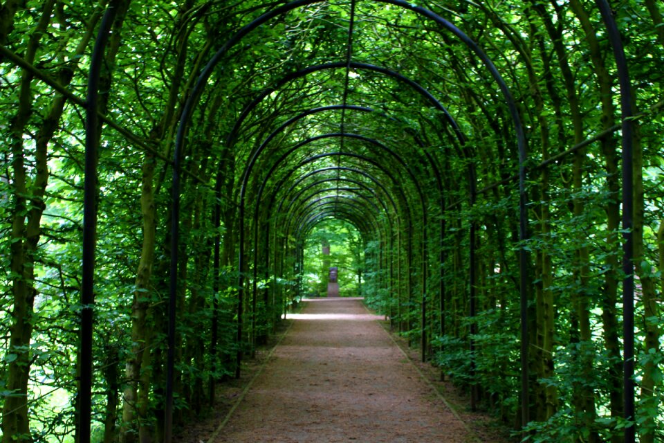 Plant tunnel garden away