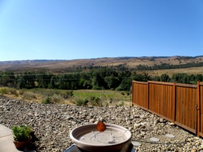 A Morning in the Wenas 4